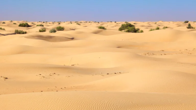 dubai desert